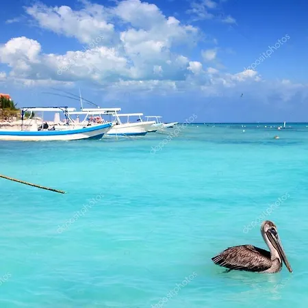 Beach Front House At Puerto Morelos